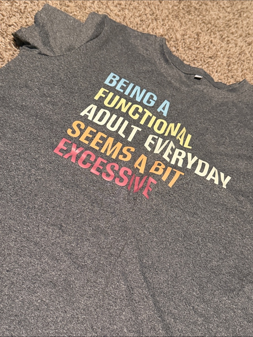 “Being a functional adult every day seems excessive” tee (L) - EUC!